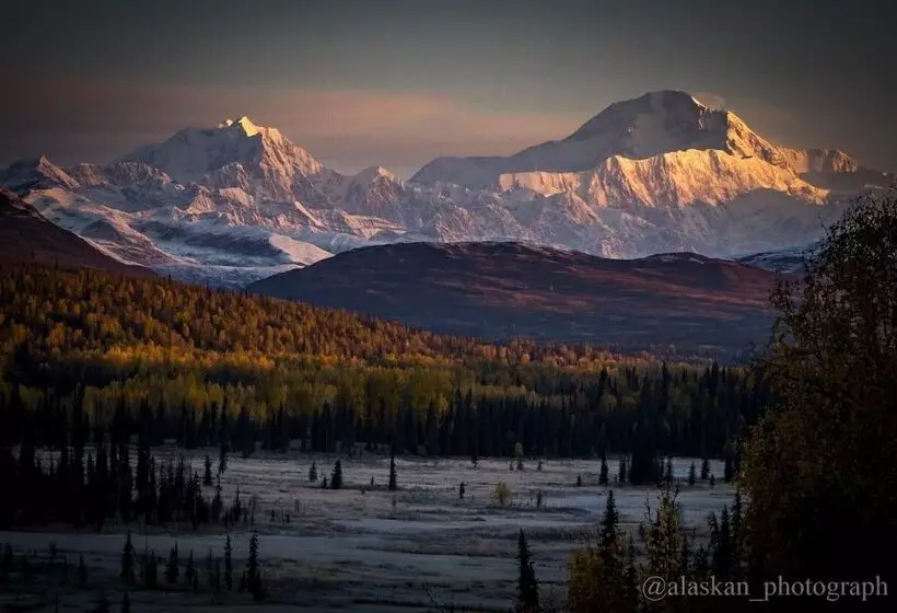 Hotelli Cantwell Lodge