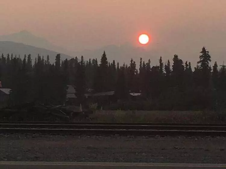 Hotelli Cantwell Lodge