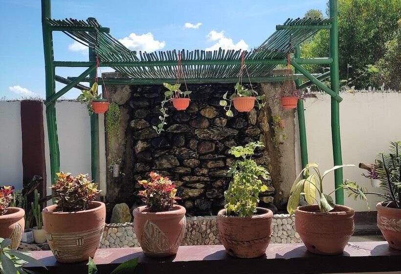 Hotel Olana Bed And Breakfast