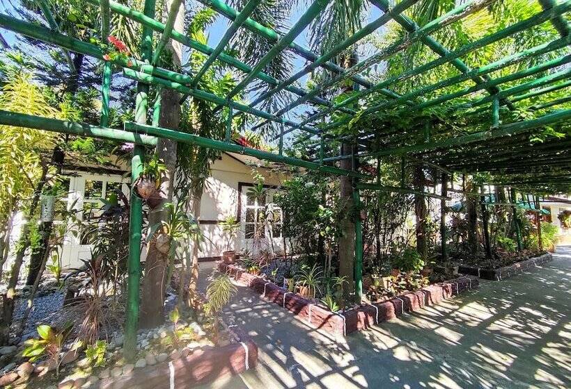 Hotel Olana Bed And Breakfast