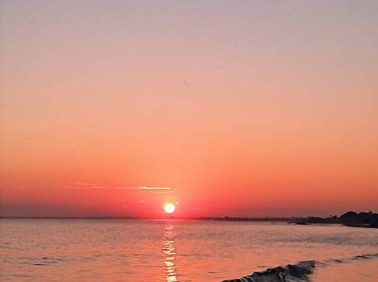 Hotel Olana Bed And Breakfast