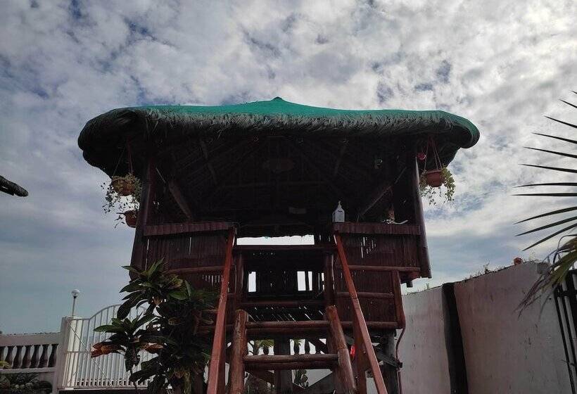 Hotel Olana Bed And Breakfast