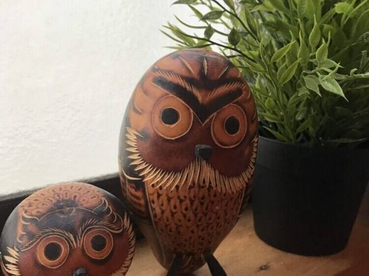 Chochin House   Hostel