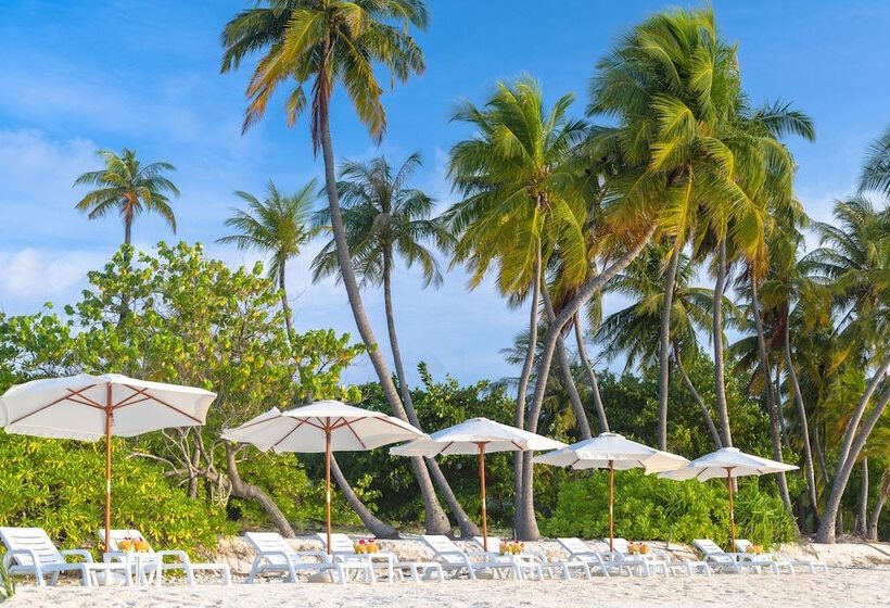 Hotel Sabba Summer Suite Maldives