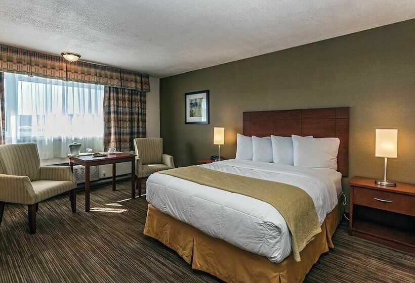 Pansiyon Het Kabinet