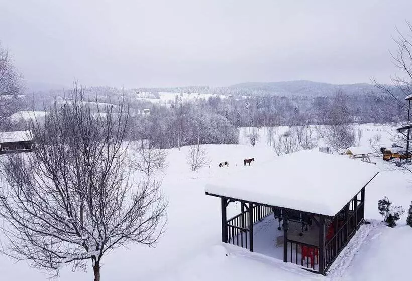 Pensiunea Gradina Mare