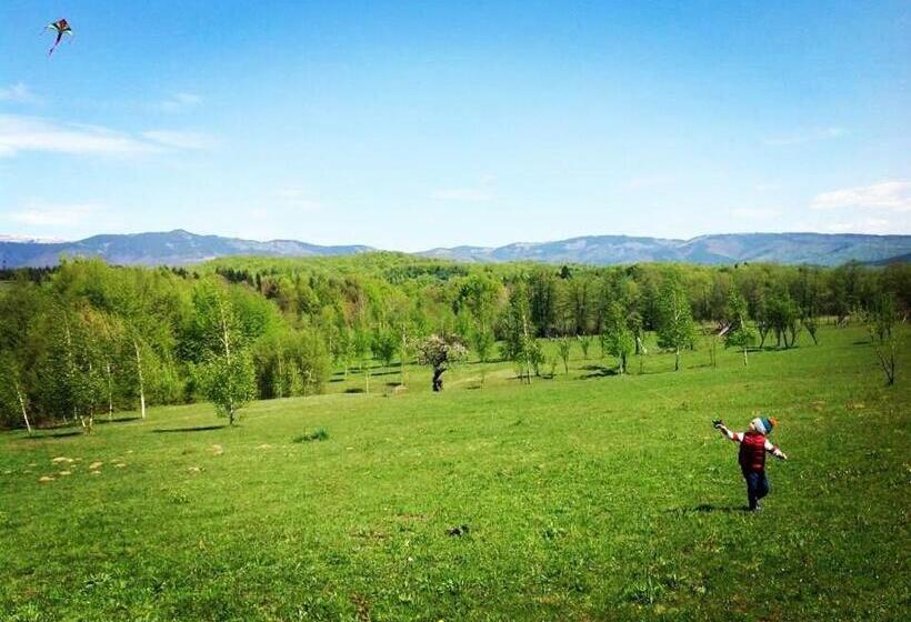 Pensiunea Gradina Mare