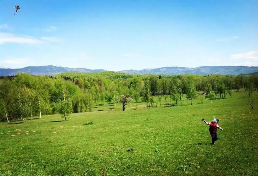 Pensiunea Gradina Mare