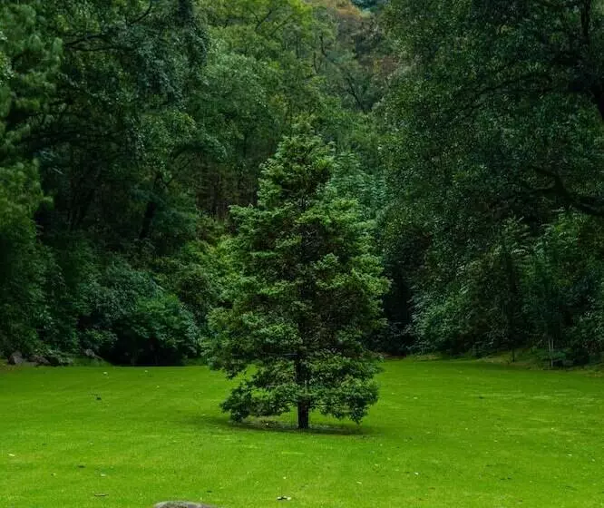 ホテル Sierra Lago