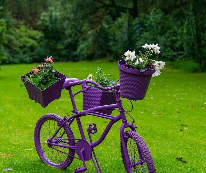 Отель Sierra Lago