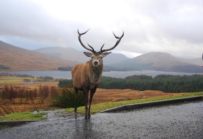 ホテル Clifton Cottage B&b