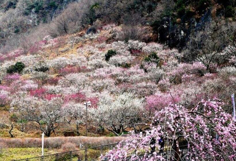 هتل Corredor Yugawara Dog＆resort