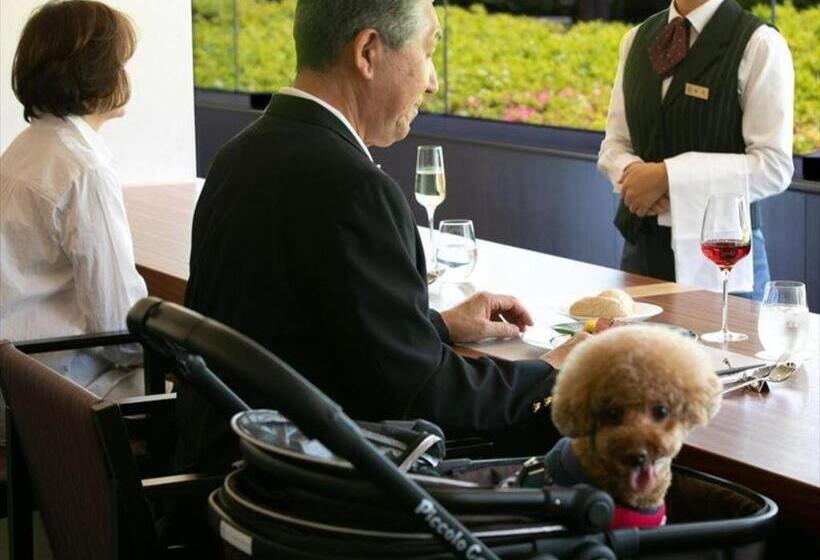 هتل Corredor Yugawara Dog＆resort