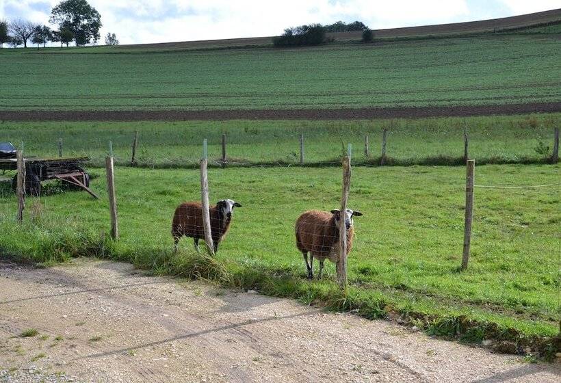 호텔 Gîte Du Baraquet