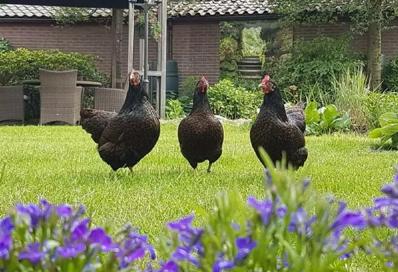 B&b De Loenense Bossen