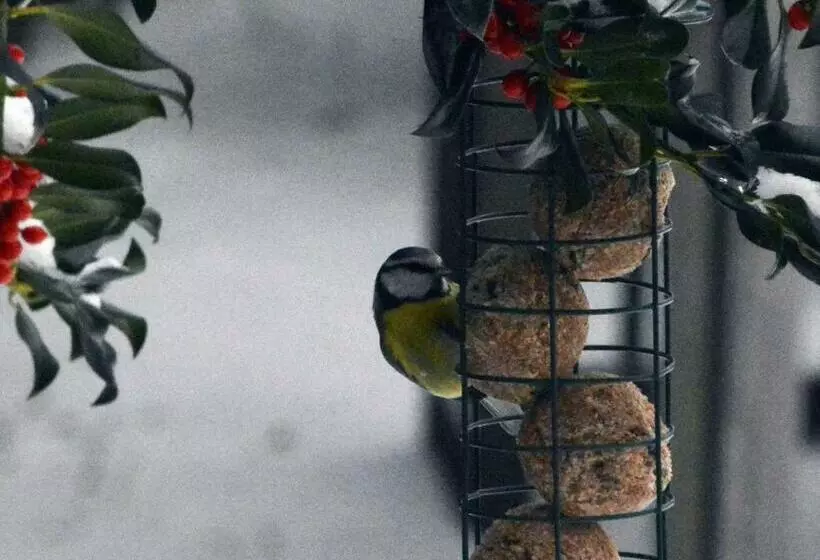 B&b De Loenense Bossen