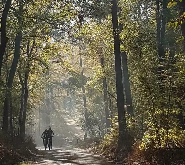 B&b De Loenense Bossen