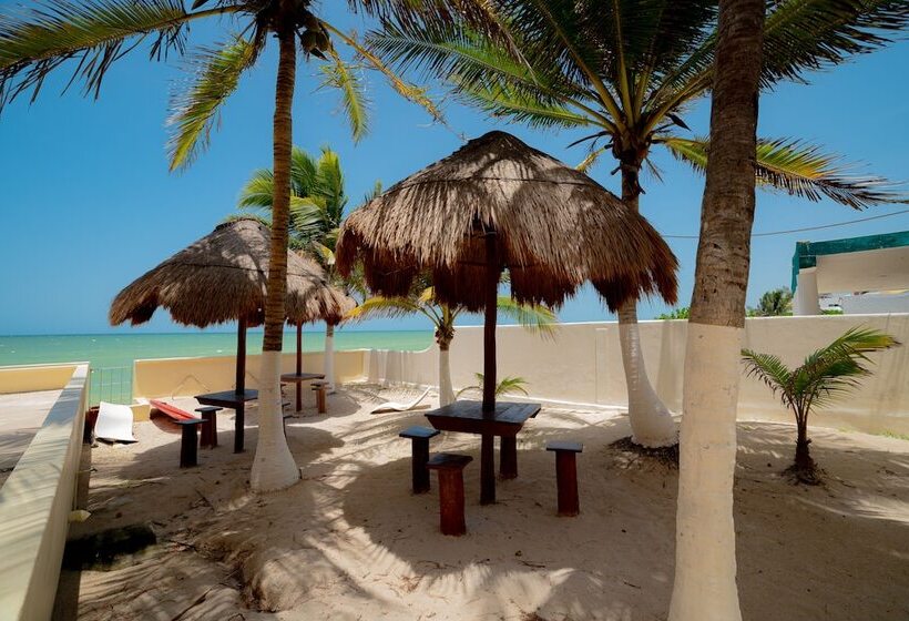 בית מלון כפרי Flamingos Inn