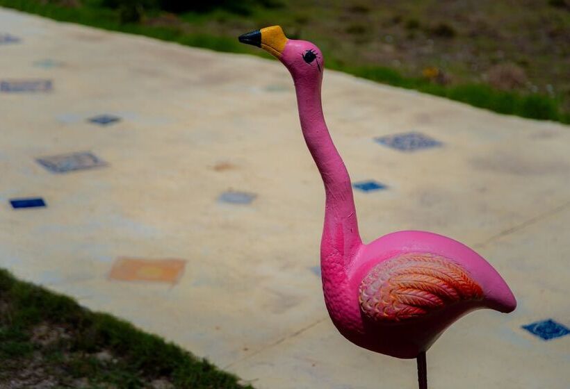 בית מלון כפרי Flamingos Inn