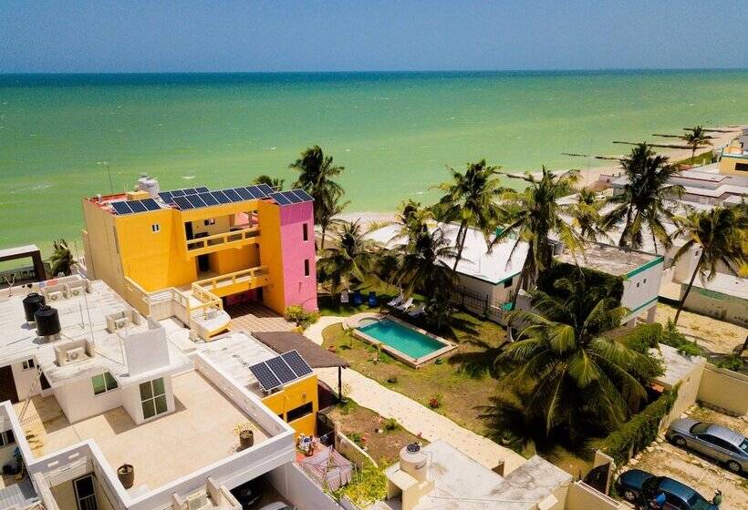 בית מלון כפרי Flamingos Inn