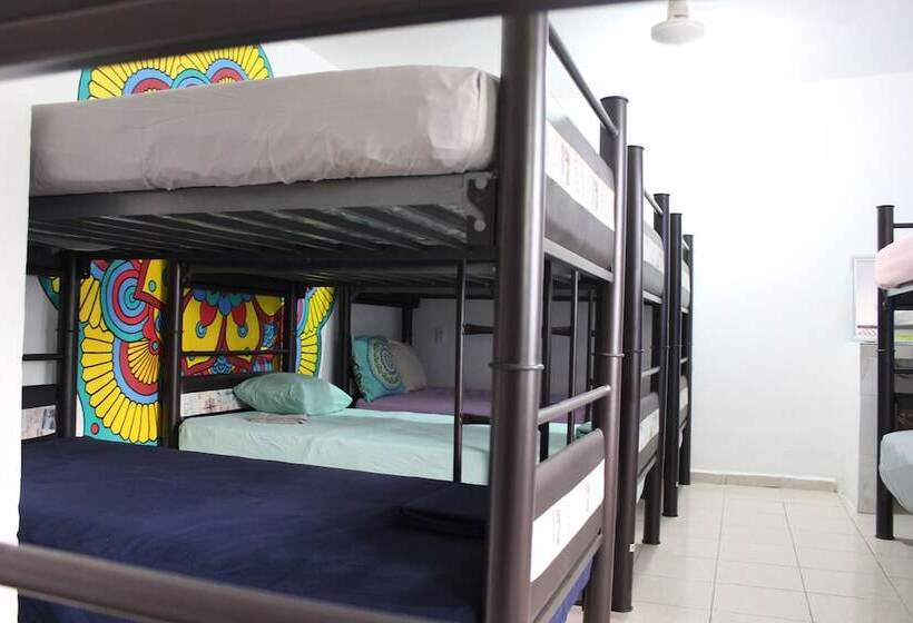 Hotel Mandala Hostel