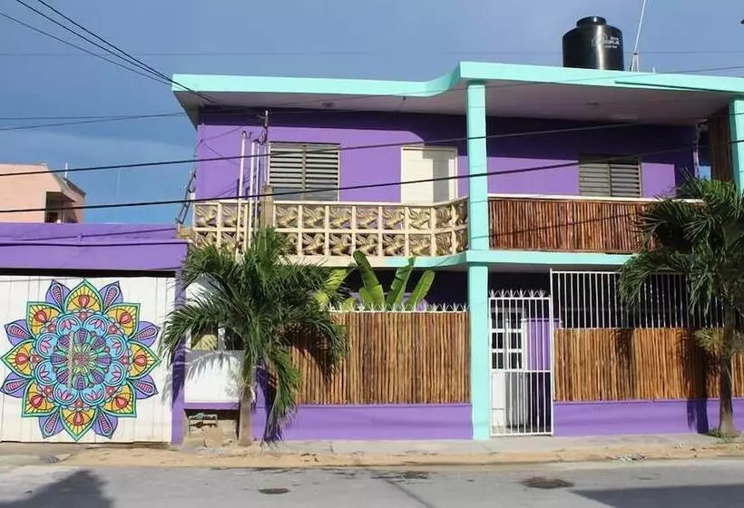 ホテル Mandala Hostel