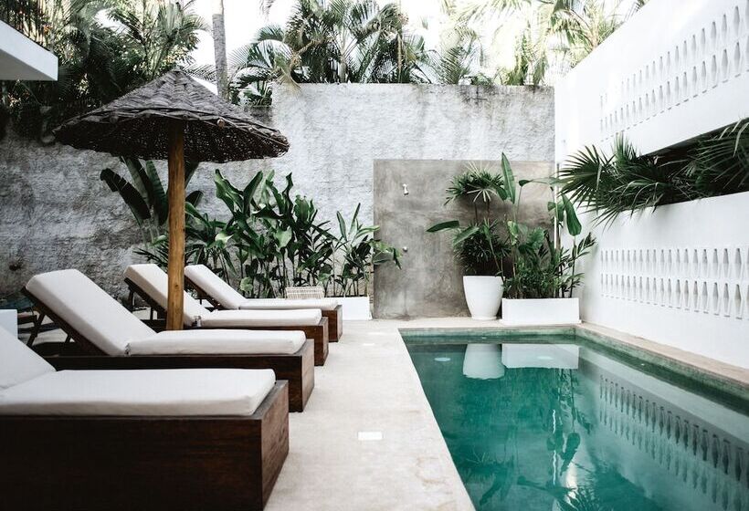 Отель Residencia Tropical Don Bonito