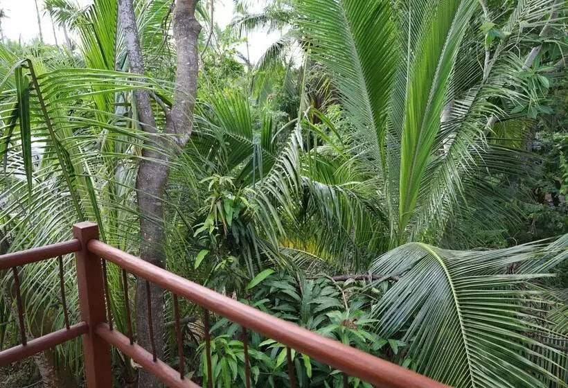 Hotelli Solez Zihuatanejo