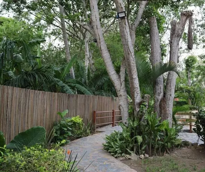 Hotelli Solez Zihuatanejo