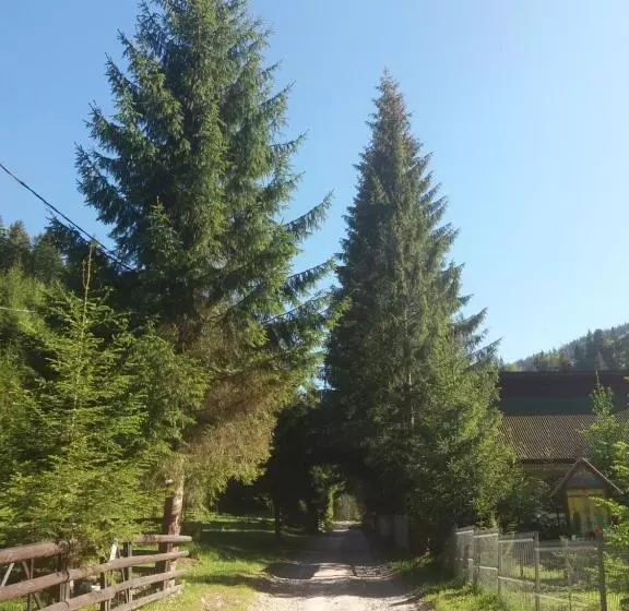 Pensiunea Vlahopol