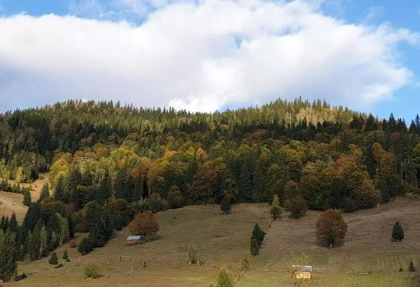 Pensiunea Vlahopol