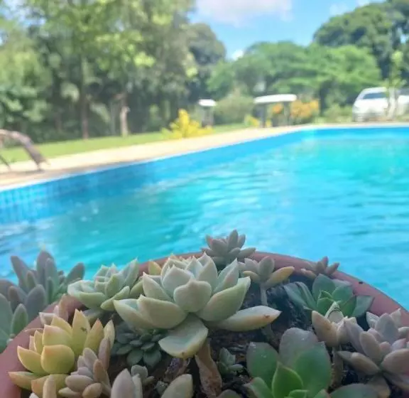 ユースホステル Pousada Erva Doce