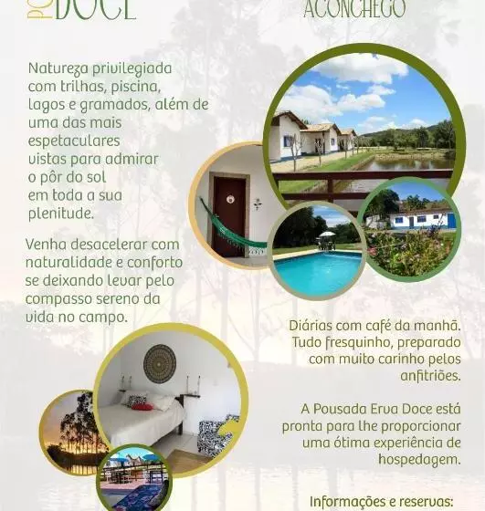 ユースホステル Pousada Erva Doce