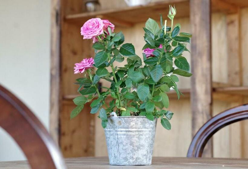 Bed and Breakfast Beb Montefratta