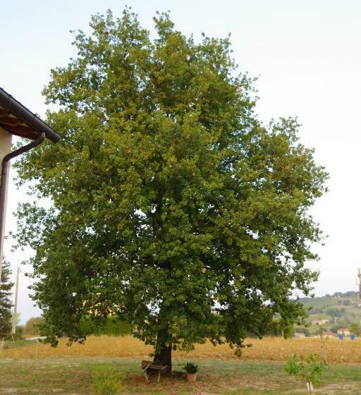 Bed and Breakfast Beb Montefratta