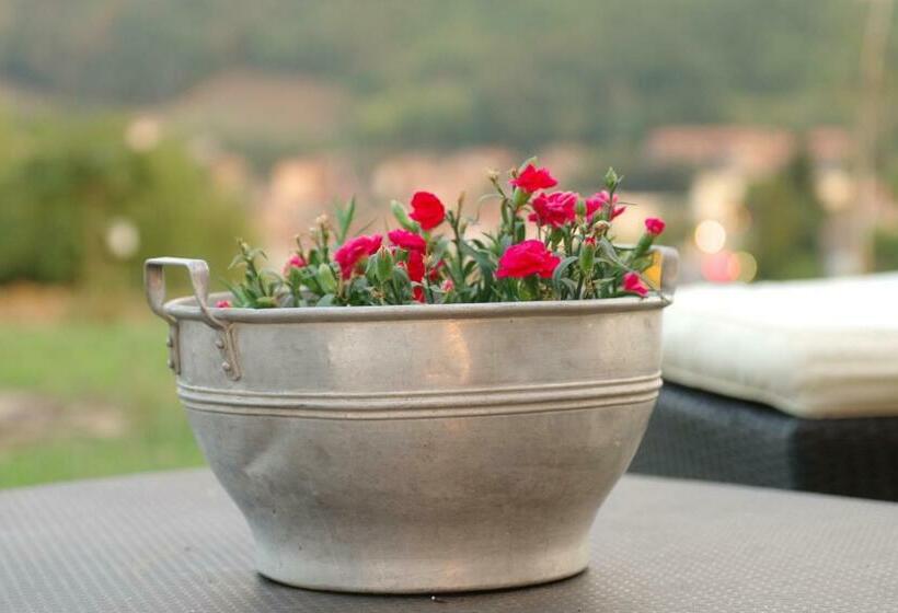 Bed and Breakfast Beb Montefratta