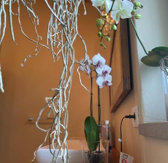 Bed and Breakfast Beb Montefratta