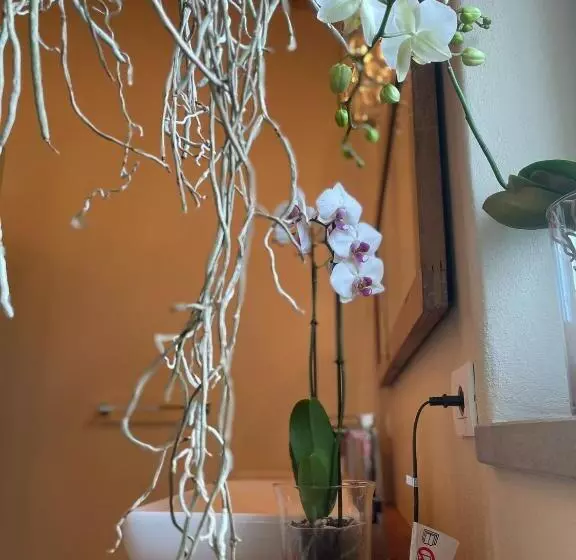 Aamiaismajoitus (B&B) Beb Montefratta