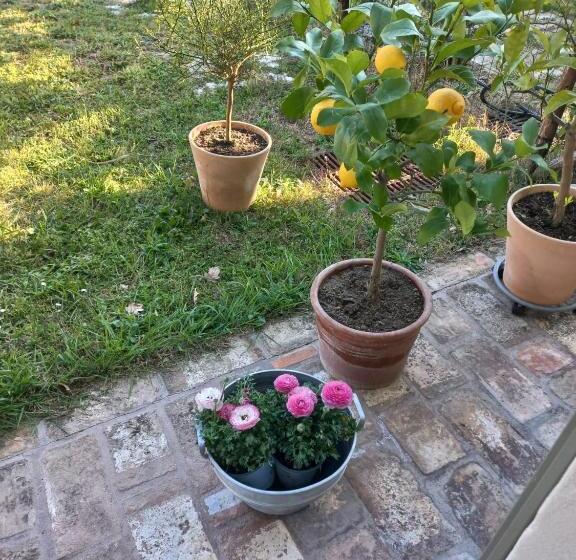 Bed and Breakfast Beb Montefratta