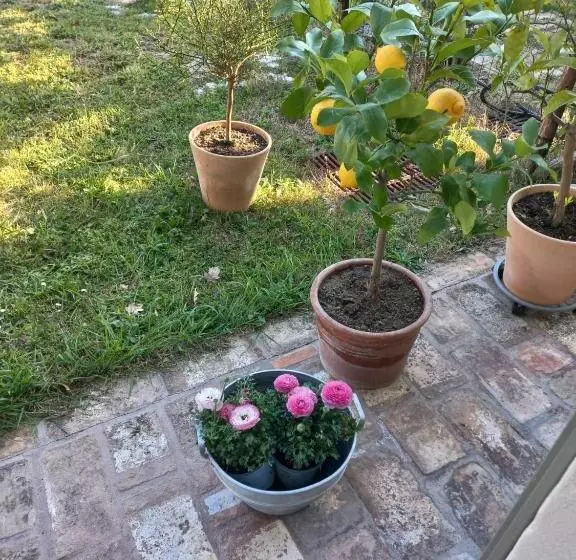 Aamiaismajoitus (B&B) Beb Montefratta