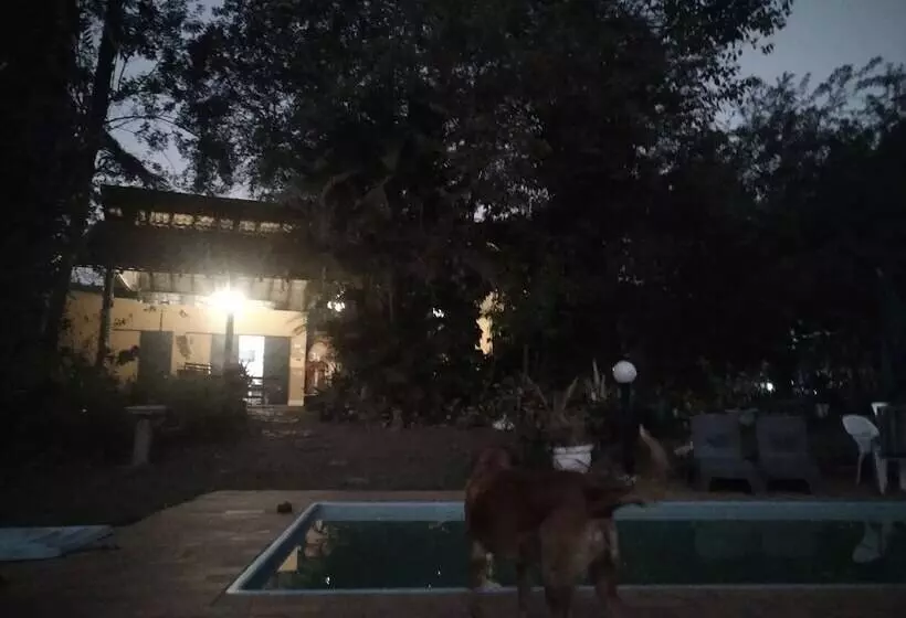 Majatalo Pousada Passaredo