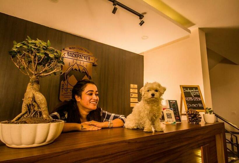 ユースホステル Backpacker Duniya