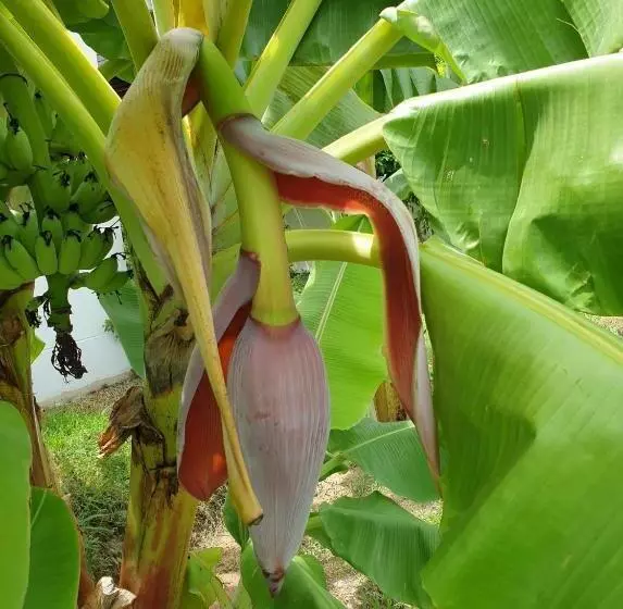 ベッドアンドブレックファースト Project 17