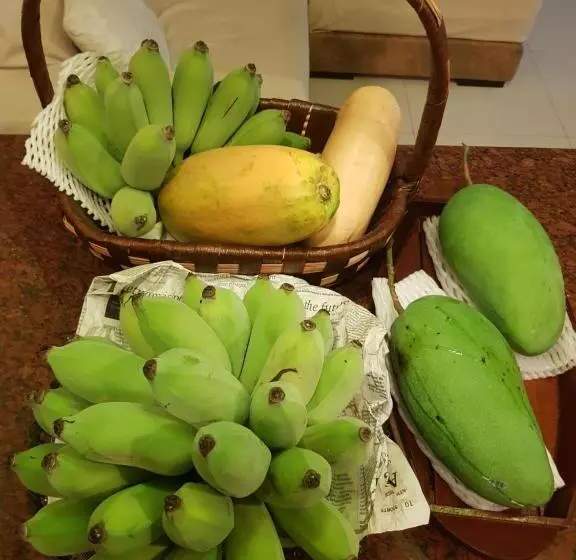 ベッドアンドブレックファースト Project 17