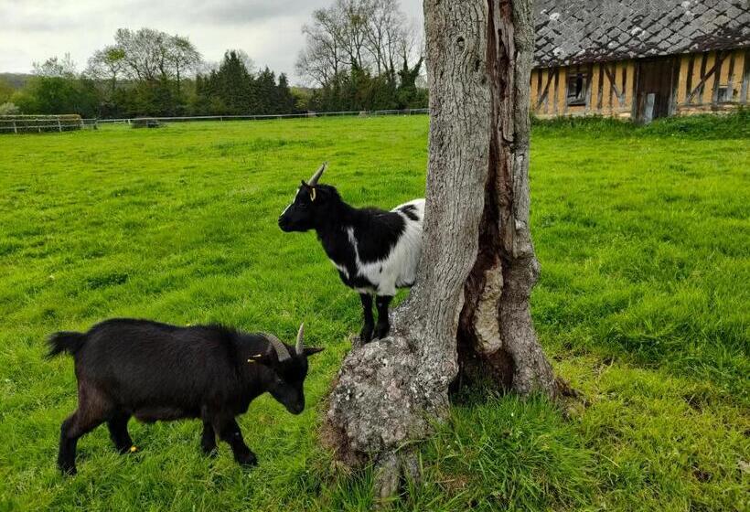 مبيت وإفطار Eden Koï