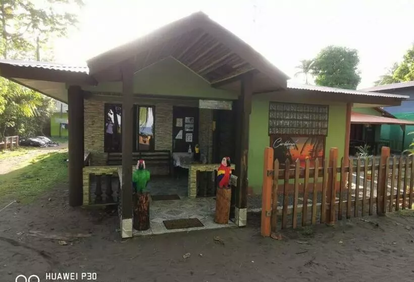 ペンション Caribbean View House