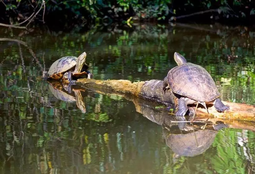 ペンション Caribbean View House
