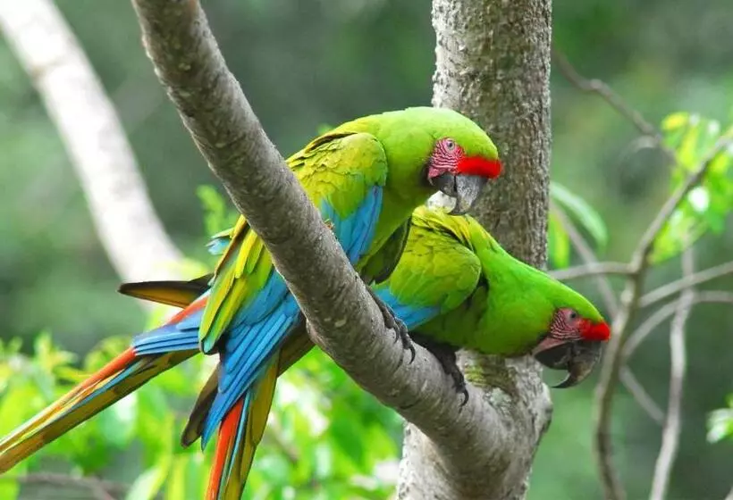 ペンション Caribbean View House