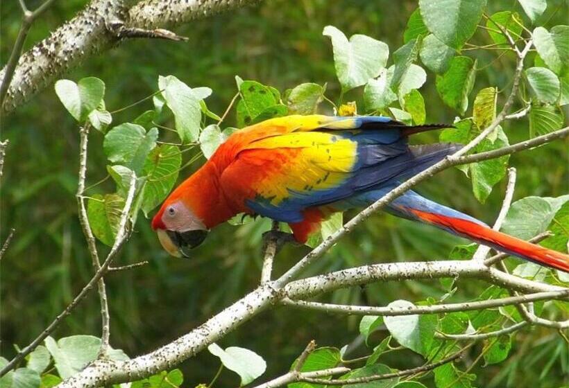 پانسیون Caribbean View House