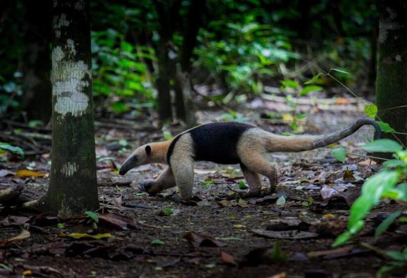 پانسیون Caribbean View House